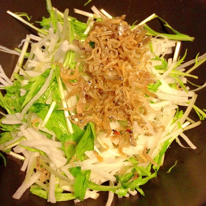 カリッカリッ 大根と水菜のサラダ レシピ 作り方 By きのこのみみ 楽天レシピ カリッカリッ 大根と水菜のサラダ レシピ 作り方 By きのこのみみ 楽天レシピ
